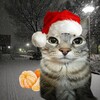 Логотип телеграм канала @gracoinrpgram — Мем зароботок
