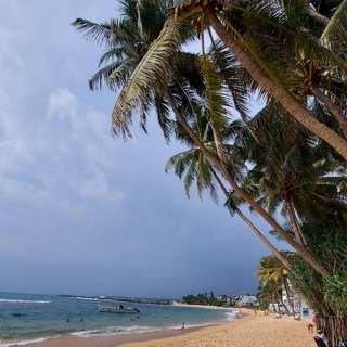 Telegram арнасының логотипі gradusleta — Градус Лета