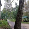 Логотип телеграм канала @grafloves — В графском любят