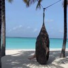Логотип телеграм канала @grafova_travel — Travel фанатка | Туры и путешествия