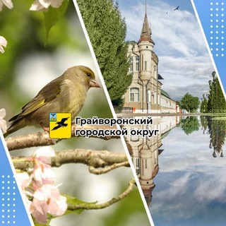 Логотип телеграм канала @graivoron — Грайворонский городской округ