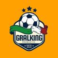 Logo de la chaîne télégraphique gralkingpronos - GRALKING PRONOS OFFICIEL 🔥🥇
