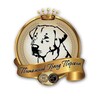 Telegram channel Puppy kennel GRAND PERSONA👑 logo