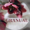 Logo of telegram channel granual — Granual