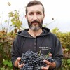 Логотип телеграм канала @grape_anapa_public — grape_anapa_public