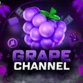 Logo saluran telegram grapeshopchannel — Grape Shop | Channel