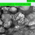 Telegram channel Toxins, Magnetic Beads, Graphene And Other Hidden Dangers In The C19 Vials? logo