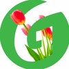 Логотип телеграм канала @grass_vlg_shop — Grass Shop