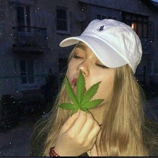 Логотип телеграм канала @gredlayn — GREDLAYN