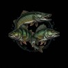 Логотип телеграм канала @greedypredator — Жадный хищник🦈