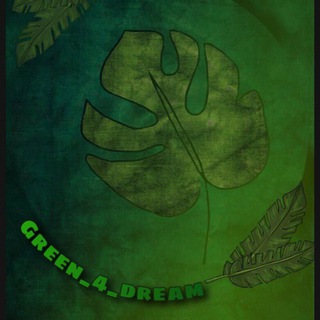 لوگوی کانال تلگرام green_4_dream — 💚Green_4_Dream🍀