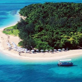 Logo of telegram channel green_island — 🏞️GREEN🏝️ISLAND💡