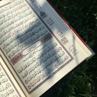 لوگوی کانال تلگرام green02018 — غصن أخضر 🌿