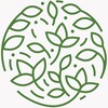 Логотип телеграм канала @green_lace_buro — Ландшафт Green Lace buro