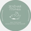 Логотип телеграм канала @green_ptichka — Зеленая птичка - мастерская растений 🪴