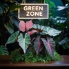 Логотип телеграм канала @green_zone_a — Зеленая Зона•GREEN Zone