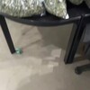 Logo of telegram channel greendreamshub — Green Dreams Lounge Hub