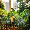 Логотип телеграм канала @greenfable — Ботанический кружок 🟢
