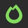 Логотип телеграм канала @greenfirestudios — GreenFire Studios