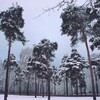 Логотип телеграм канала @greenpreo — Зелёная Преображенка