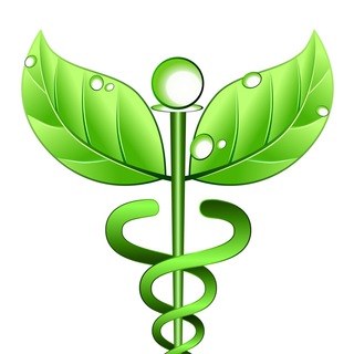 لوگوی کانال تلگرام greenteb — جدیدترین مطالب سلامت جنسی
