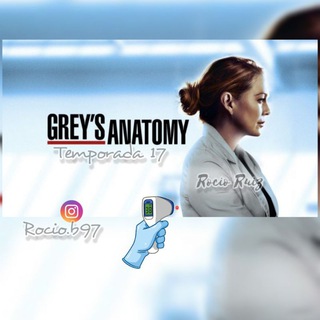 Logotipo del canal de telegramas greysanatomyrocio - 🙃