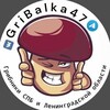 Логотип телеграм канала @gribalka47 — 🍄‍🟫ГриБалка в СПБ и Пскове🫐|Ягоды|Грибы|Рыбалка