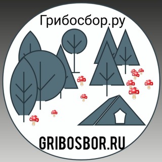 Логотип телеграм канала @gribkrasnyi — Гриб Красный 🍄 Мухомор 🍄
