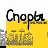 Логотип телеграм канала @gribniespory — СПОРЫ 🍄🍄🍄