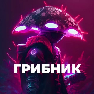 Логотип телеграм -каналу gribnik_ukr — Грибник🇺🇦