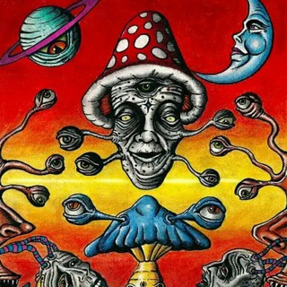 Telegram channel Грибы мухоморы 🧠 logo