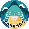 Telegram channel ГРИБНОЕ 🍄‍🟫 (Черногория) logo