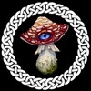 Логотип телеграм канала @griboedo4 — Славяно-арии, объединяемся!