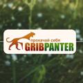 电报频道的标志 gribpanter — Мухомор пантерный 🍄