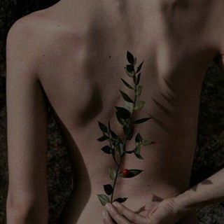 Логотип телеграм канала @gridenlove — Gridenlove