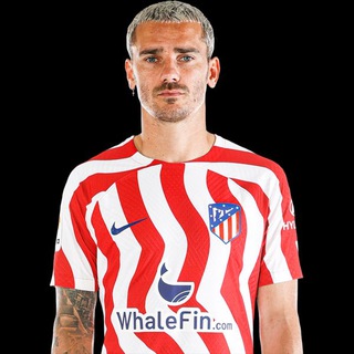 电报频道的标志 griezmannno1 — 🇫🇷Griezmann世界第一