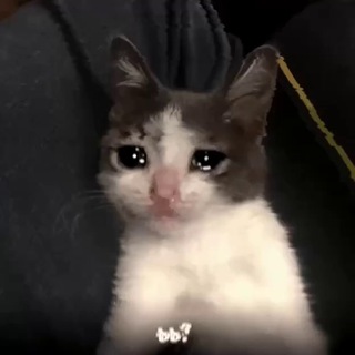 Логотип телеграм канала @grildroidmindcave — 🌌 Грандиозный гриль вещает