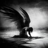 Логотип телеграм канала @grimsng1 — GRIM