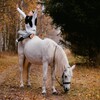 Логотип телеграм канала @grindos2007 — Лесной стан🐎