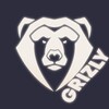 Logo of telegram channel grizzlykyc — 🧸 GRIZZLY AUTO KYC🧸