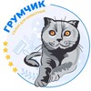 Логотип телеграм канала @groom_chik — Красивая стрижка собак и кошек. Обучение грумингу. Ростов-на-Дону.