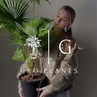 Логотип телеграм канала @groplants — Gro.plants - растения Казань 🌿