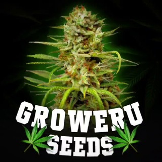 Логотип телеграм канала @groweruseed — GROWERU Seeds