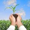 टेलीग्राम चैनल का लोगो growhealthearning — Grow Health