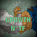 Telegram kanalining logotibi growntransform — Growth n TF {18 }