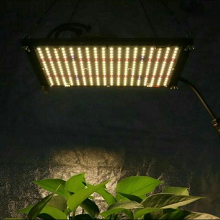 Логотип телеграм канала @growseason — Grow Season