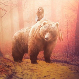 Логотип телеграм канала @growyourselfinsex — Размышления Медведя