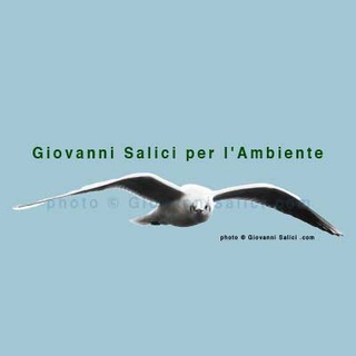 Logo del canale telegramma gsambiente - Giovanni Salici per l'Ambiente 🦢