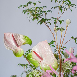 Логотип телеграм канала @gsflowersstudio_ru — Gsflowersstudio. Зелёная Симфония.