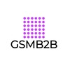 Логотип телеграм канала @gsmb2b_ru — GSMB2B (нейросети)